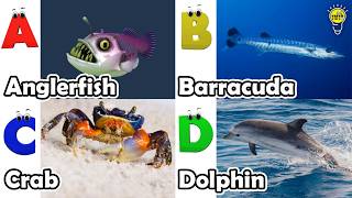 ABC Sea Animals song | Learn Alphabets | English and Animals for Kids | #anglerfish