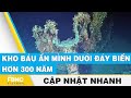 Kho bu n mnh di y bin hn 300 nm  fbnc