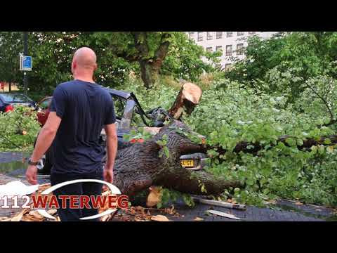 Vrouw komt om het leven door noodweer op Westersingel in Rotterdam