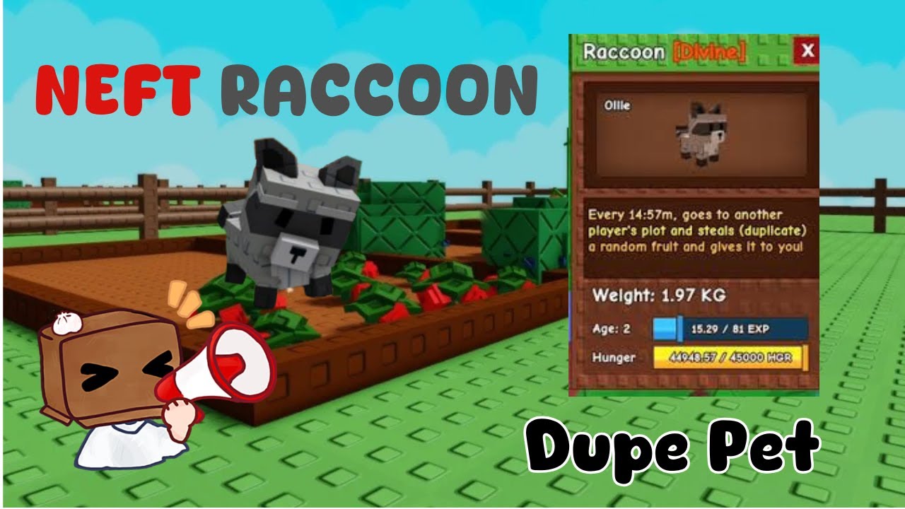 Raccoon Bị Neft ? Vấn đề Dupe Pet trong Grow A Garden - YouTube