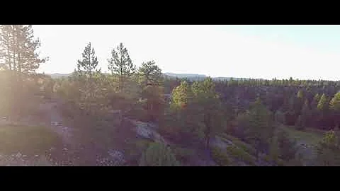Get Out And Play