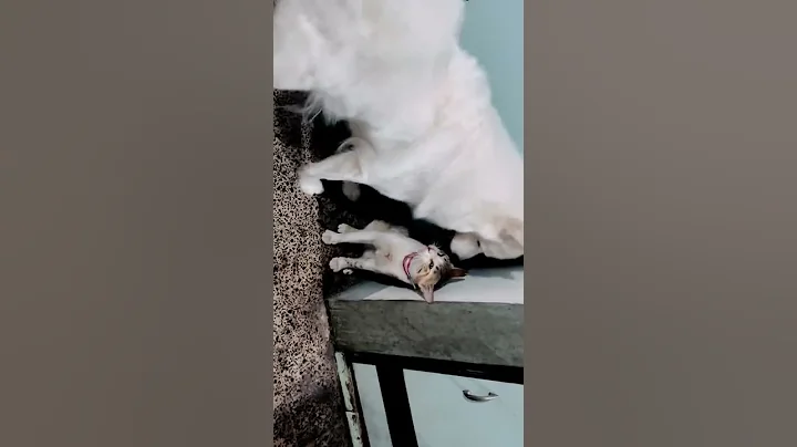 Play time