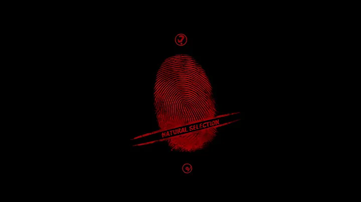 BXX - Natural Selection - Techstep Drum & Bass Vinyl Mix