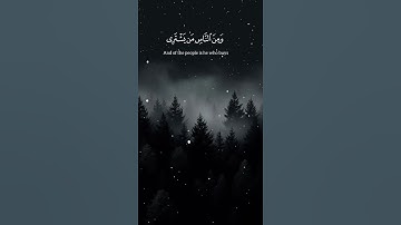 #الٓمٓ - #الآية_١_إلى_٣٠ - #سورة_لقمان - #viral #video