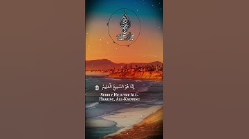 تلاوة رهيبة لاسلام صبحي ستشعرك بمحنة يوسف عليه السلام | قال رب السجن أحب اليّ