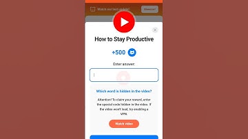 How to Stay Productive - Cats Video Code