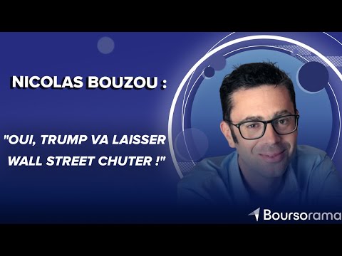 Nicolas Bouzou :