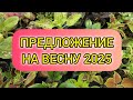 ПРЕДЛОЖЕНИЕ НА ВЕСНУ 2025