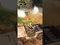 Uncharted game play ▶️ for facebook viral video 📹 #trending #gaming #game #gamergirl #explore #duet