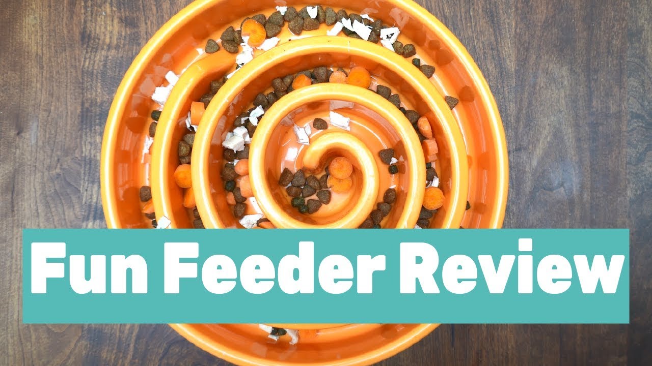 Outward Hound Fun Feeder Review — hazeldog