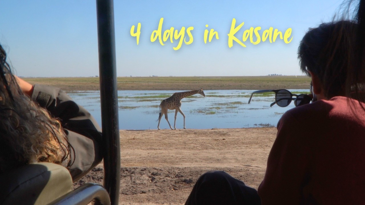 I flew to Kasane for the weekend (Chobe National park + Victoria Falls)