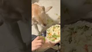 Ничего Не Предвещало. Просто Обед