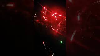 1.4g pro cake WPL20CA49-01-C by Wizard fireworks test