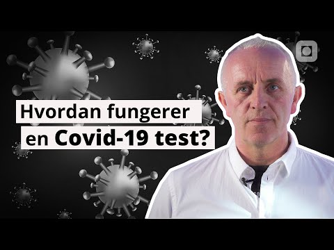 How does a COVID-19 test work? | NTNU