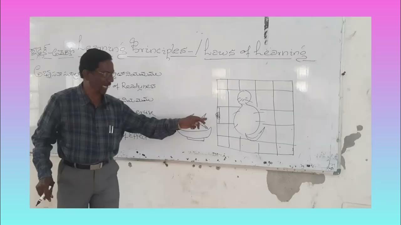 Thorndike Learning, Cat,Dry Fish,Puzzle Box, Trial and Error Method