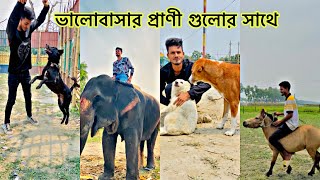 Crazy Animal 🥶 ভালোবাসার প্রাণীগুলো সাথে,হাতি , ঘোড়া , বান্দর, কুকুরের সাথে #crazy_animal