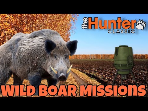 Видео: the hunter classic WILD BOAR/Вепрь выполняем миссии! Как использовать кормушки для кабанов!