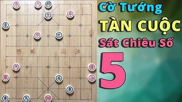 Cờ Tướng Tàn Cuộc Sát Chiêu Số 5 | Cờ Tướng Nghệ Thuật - DATC