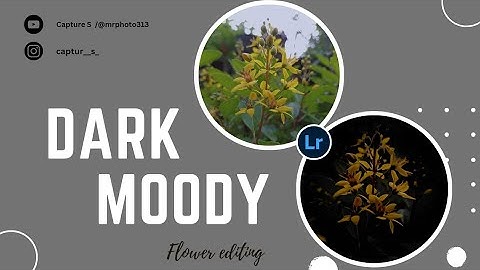 Dark Moody... Flower editing tutorial in LIGHTROOM mobail (Capture S)