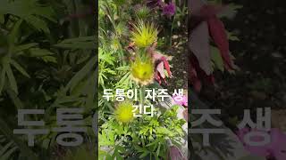 #고혈압주의 #건강정보