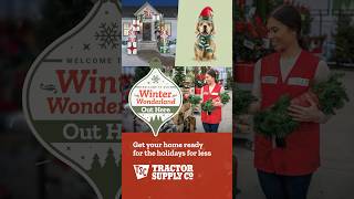 Holiday Garden Center at Tractor Supply #gardencenter #holidaydecor #christmasdecorations