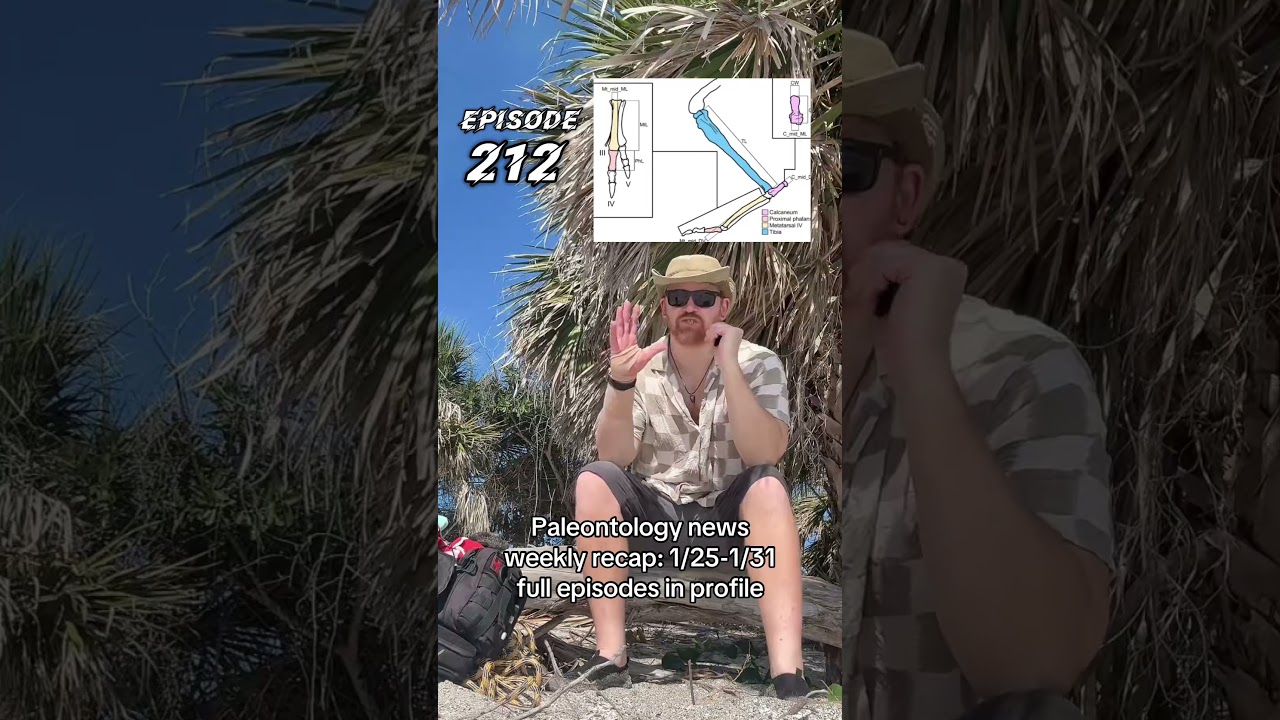 Еженедельный обзор новостей палеонтологии! 🦕🦖🪾🧬🔬 