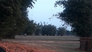 my village view