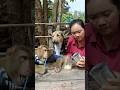 Perfect Video SokYaa OG To To And Mom Are Famous Amazing Shorts Perfect Video SokYaa OG To To And Mom Are Famous Amazing Shorts