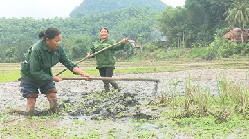 Nông dân Thị trấn tích cực làm đất chuẩn bị sản xuất vụ xuân