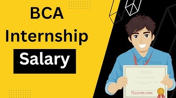 BCA Internship Salary Detail in Jaipur | Internship salary for fresher