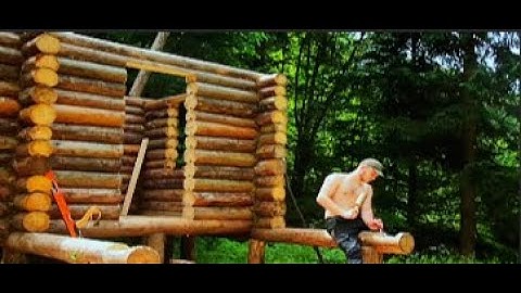 Building Secret Tree House in the Middle of the Forest | Start to Finish by