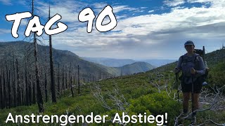 PCT 2026 Tag 90 - Ein anstrengender Abstieg! 