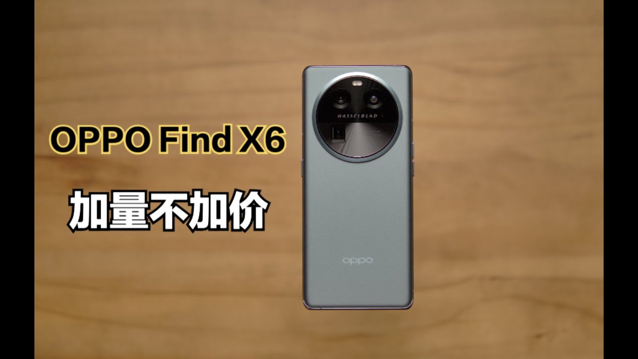投網NO646 新品未使用 12節4.5分600目4.44kg 投網NO646 新品未使用 12節4.5分600目4.44kg