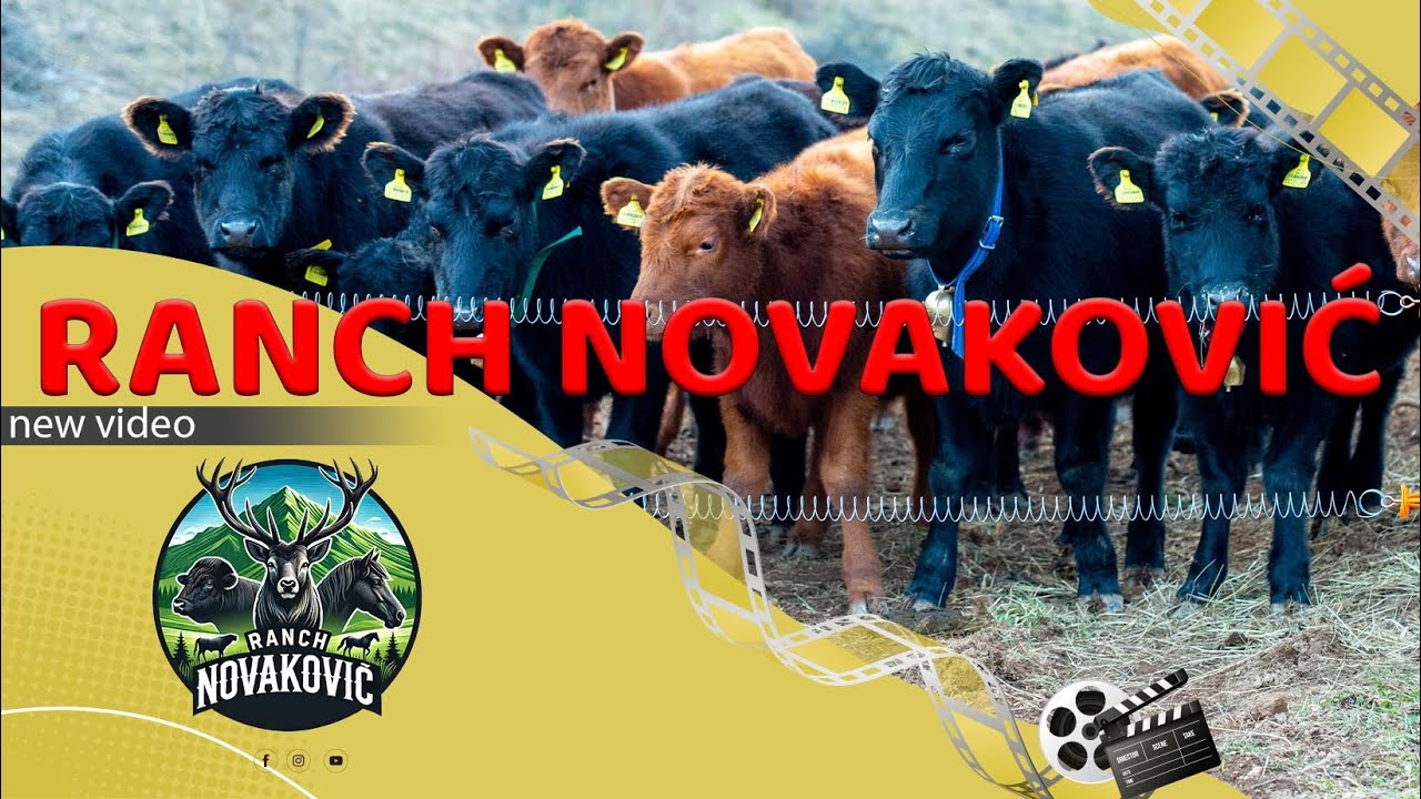 RANCH NOVAKOVIĆ