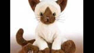 Webkinz FREE Codes