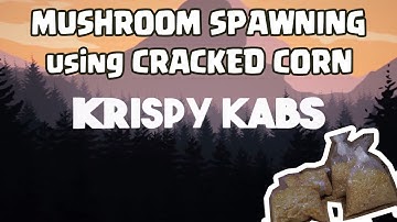 Mushroom Spawning using Cracked Corn - F0
