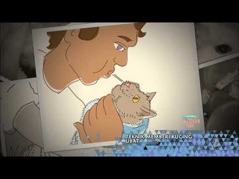 Video: Pepto Bismol - Senarai Ubat Dan Preskripsi Haiwan, Anjing Dan Kucing