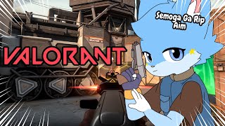 【Valorant】NIGHT VALORANT SAMPE MAMPUS !!!