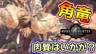 【MHW実況】角竜「ディアブロス」の肉質はいかが？新機能の「アイテムショートカット」便利そう【モンハンワールド　ベータテスト】