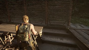 The Last of Us 2 TLOU2 Chapter 28 Hostile Territory