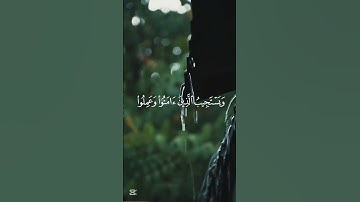 #اكتب_شي_تؤجر_عليه #راحة_نفسية #تلاوة_خاشعة #تلاوة_مميزة #تلاوة_هادئة #قرآن #quran #الحصري