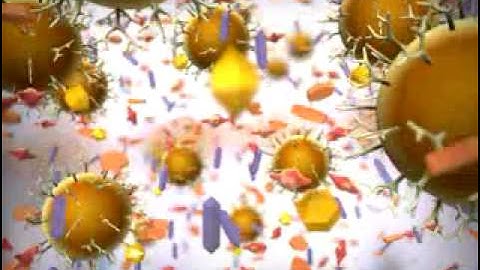 Magnetic Separation II