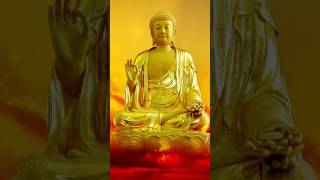 महात्मा बुद्ध ने दिए पांच शिक्षा mahatma buddh shorts