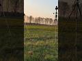 #1. Der Gefailte SkyVlog #astrofotografie #astronomie #Short