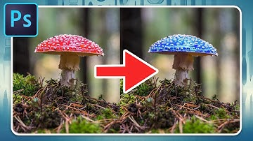 How to Change a Color in Photoshop Using Color Range (Step-by-Step)