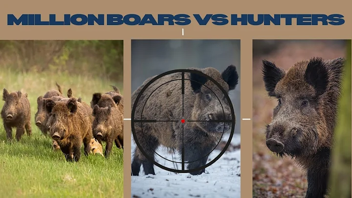 Epic Wild Boar & Wolf Hunting in America 🐗🐺 | Full 4K Video of Extreme Boar Hunt Adventure