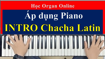 Hướng dẫn INTRO Chacha Latin |  Kết hợp kỹ năng PIANO - Tone La thứ (Am)