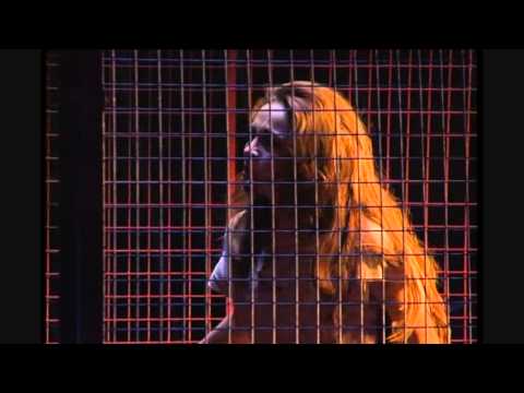 Notre Dame De Paris (Musical) Act 2 ู
ุณุฑุญูุฉ ููุชุฑุงุฏุงู
ุงูุบูุงุฆูุฉ - ุงููุตู ุงูุซุงูู