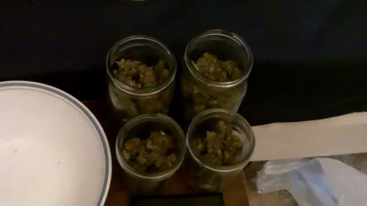 Heavy Duty Fruity Results