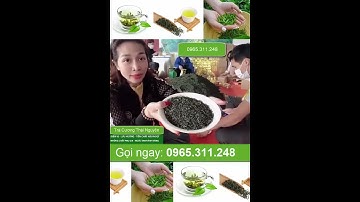 Chè xanh Tân Cương Thái Nguyên